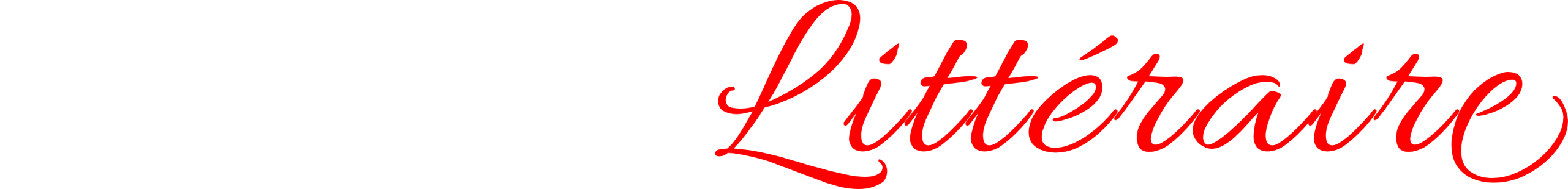 Le Magasin Littéraire Logo